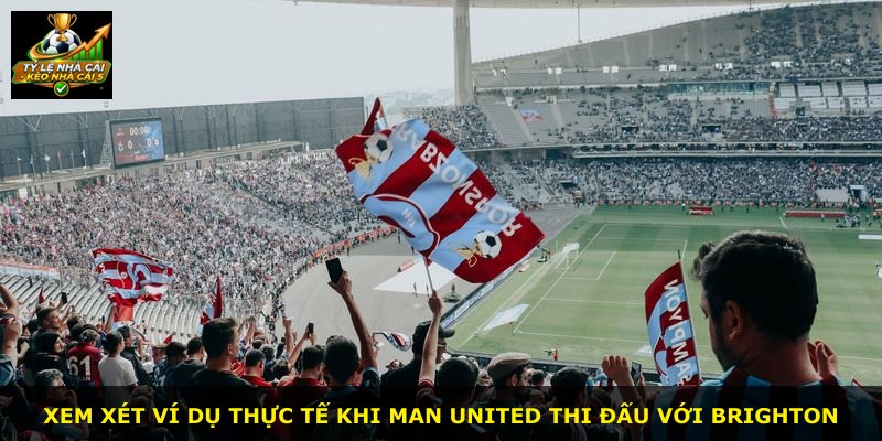 Xem xét ví dụ thực tế khi Man United thi đấu với Brighton