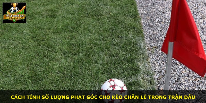 Cách tính số lượng phạt góc cho kèo chẵn lẻ trong trận đấu