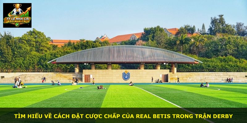 Tìm hiểu về cách đặt cược chấp của Real Betis trong trận derby